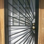 Sun Burst Security Door